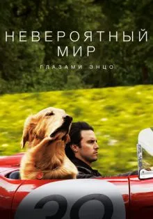 Невероятный мир глазами Энцо ()