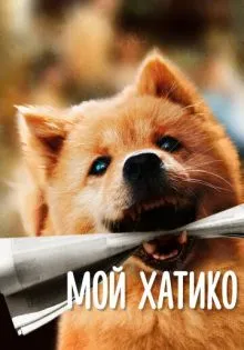 Мой Хатико ()
