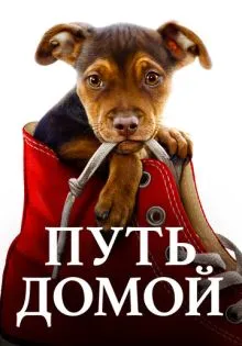 Путь домой ()