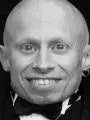 Верн Тройер