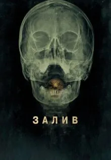 Залив ()