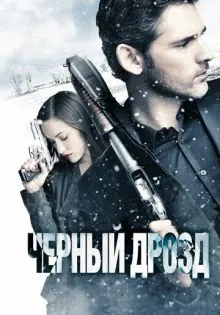 Чёрный дрозд ()