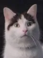 Нико