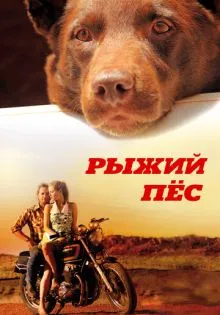 Рыжий пес ()