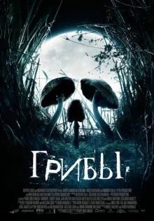 Грибы ()