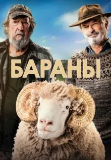 Бараны ()