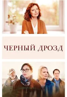 Чёрный дрозд ()